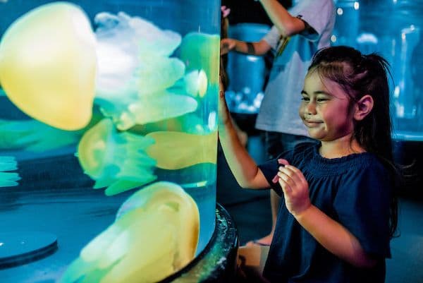 SEA LIFE Sydney
