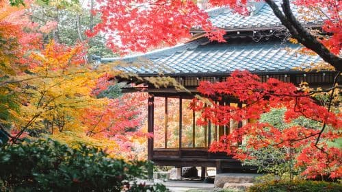 Kyoto Nanzen-ji Temple 단풍 + Nijō Castle 일루미네이션 쇼 + Gion + Nishiki Market 1일 투어