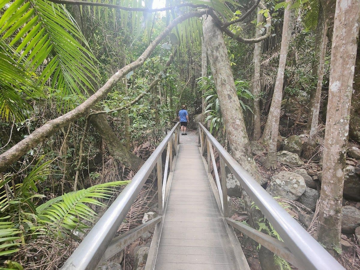 Tamborine Mountain Rainforest Skywalk Tickets