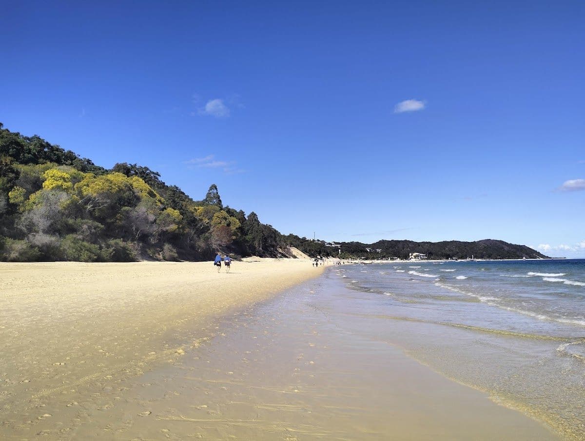 Tangalooma Beach Day Cruise | Brisbane
