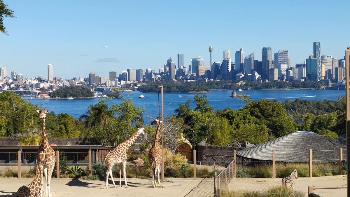 Taronga Zoo Sydney + Captain Cook round-trip boat ticket Transport Passes
