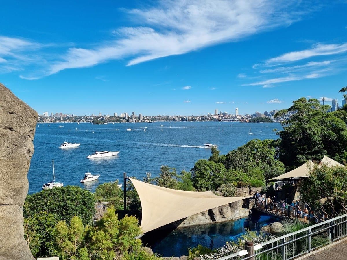 Taronga Zoo Sydney + Captain Cook round-trip boat ticket Transport Passes