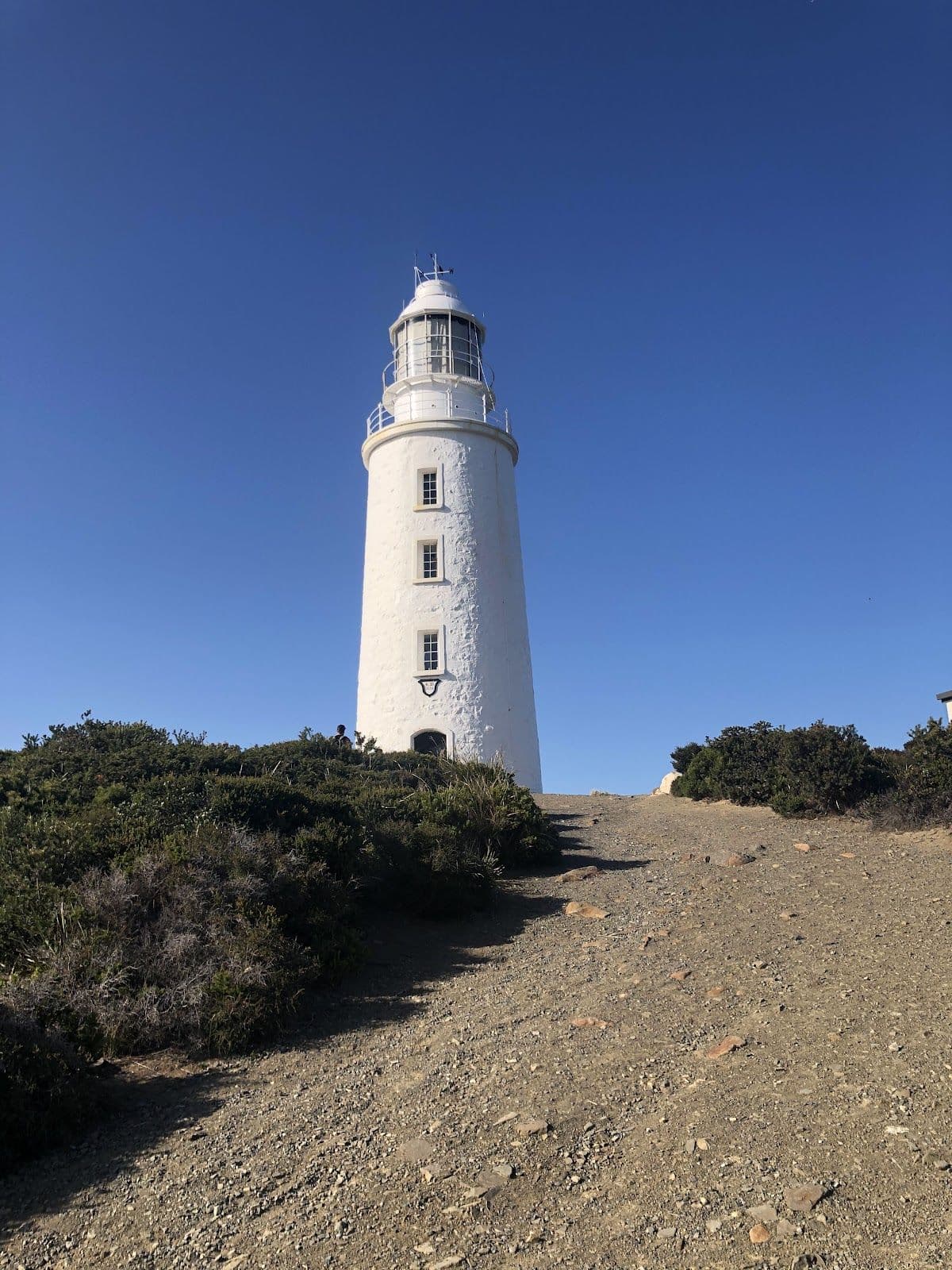 Tasmania South Bruny National Park 1-day tour [Hobart round-trip, includes admission ticket and ferry] Day Tours