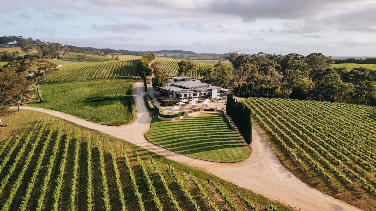 The Lane Vineyard Personalised Wine Blending Experience