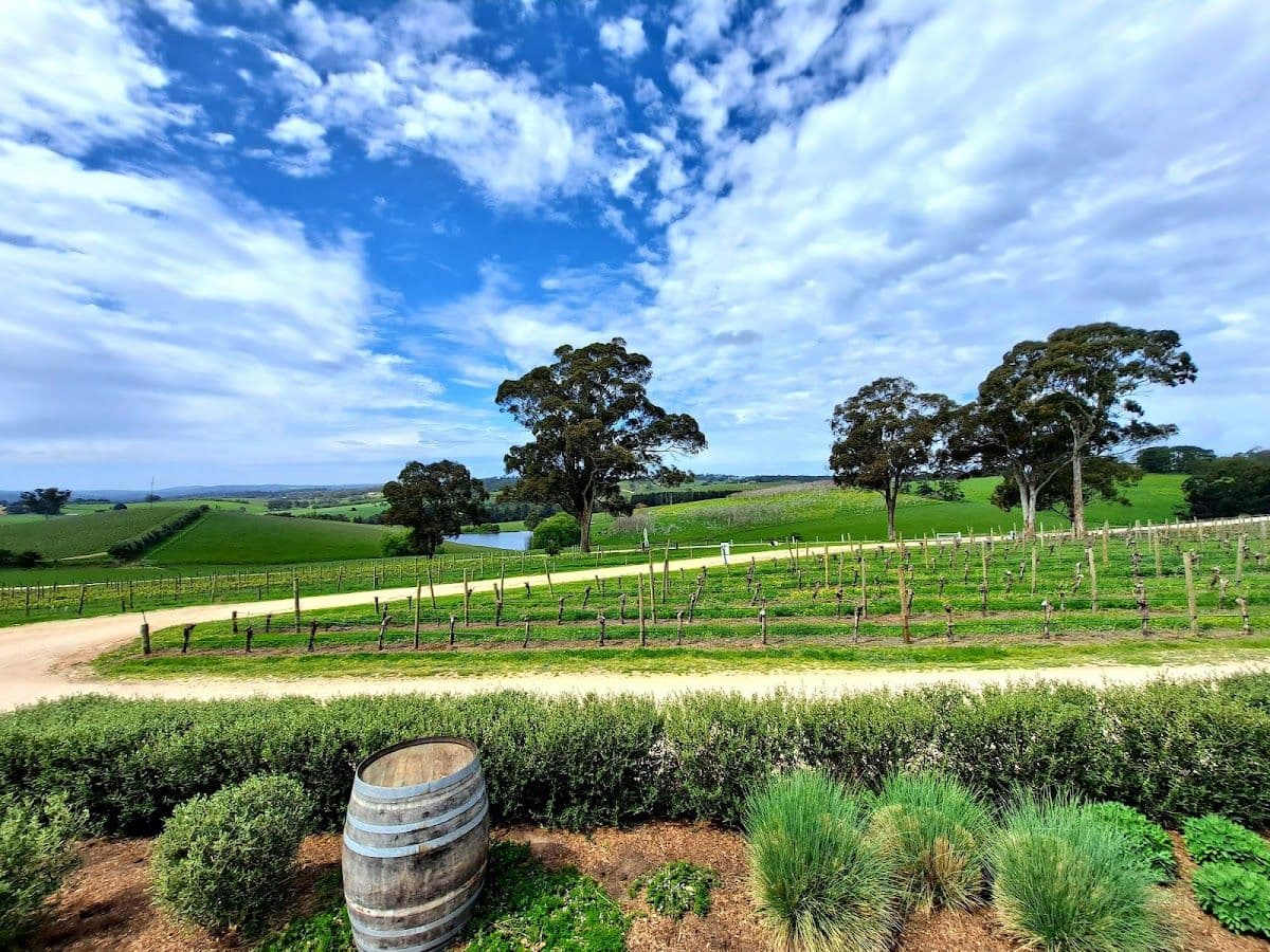 The Lane Vineyard Personalised Wine Blending Experience