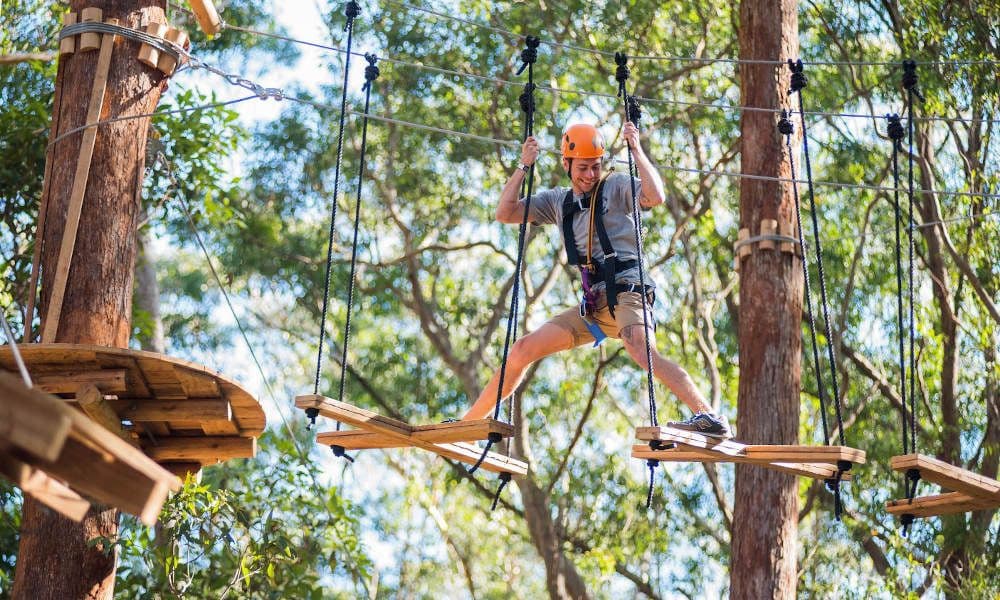 TreeTop Adventure Park Central Coast - 2,5 uur