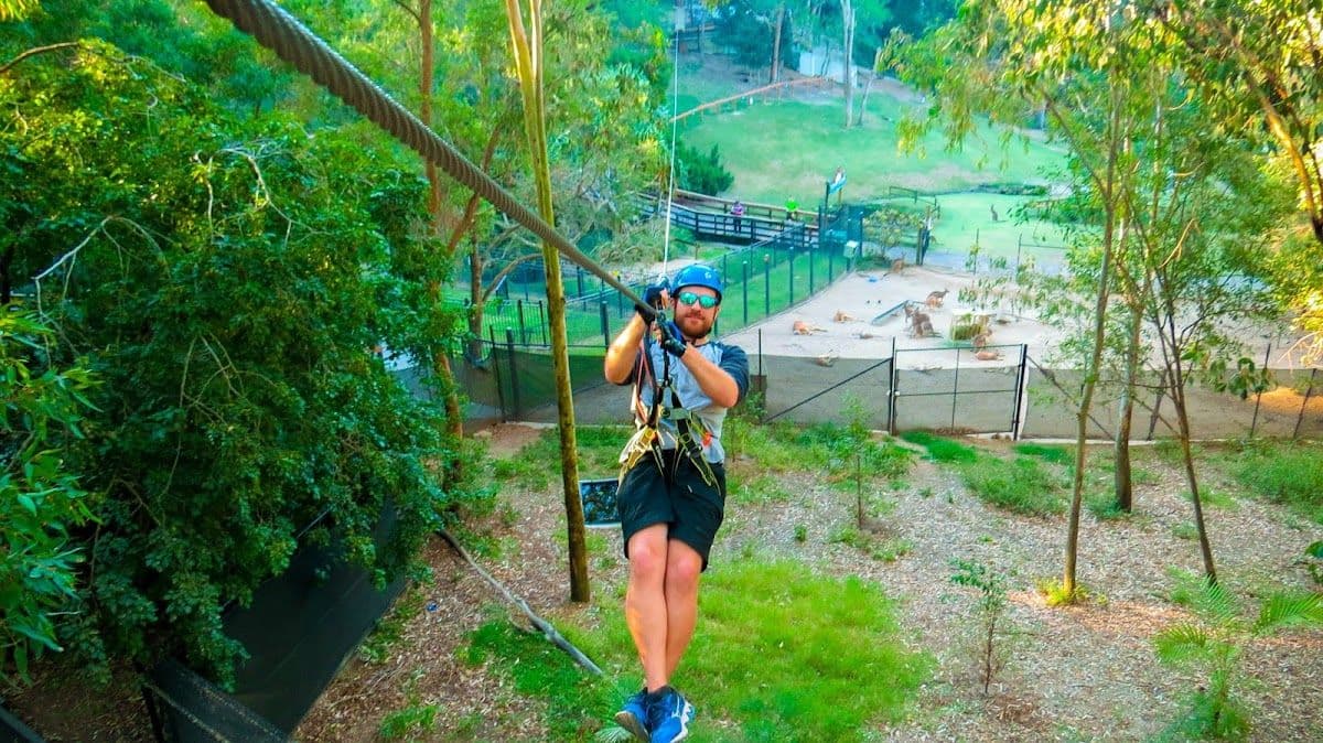 TreeTop Challenge & Currumbin Sanctuary Ticket Combo