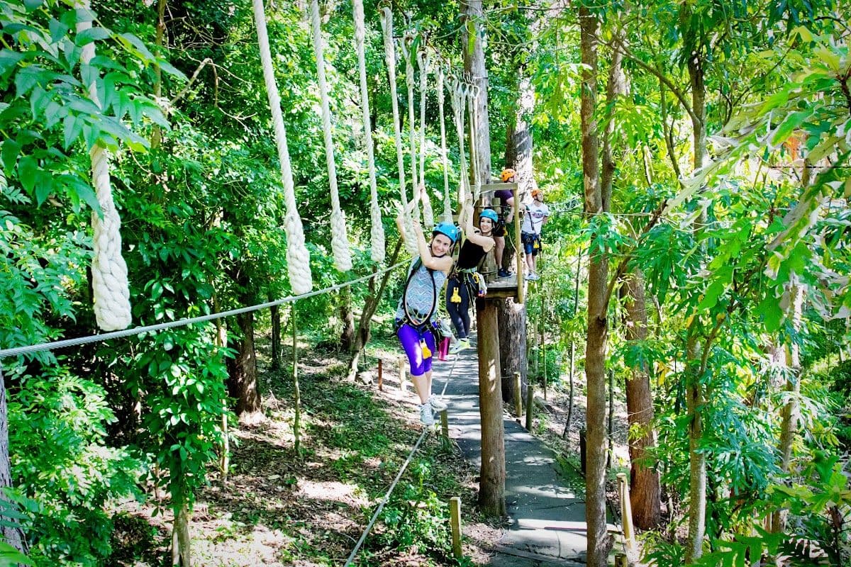 TreeTop Challenge & Currumbin Sanctuary Ticket Combo