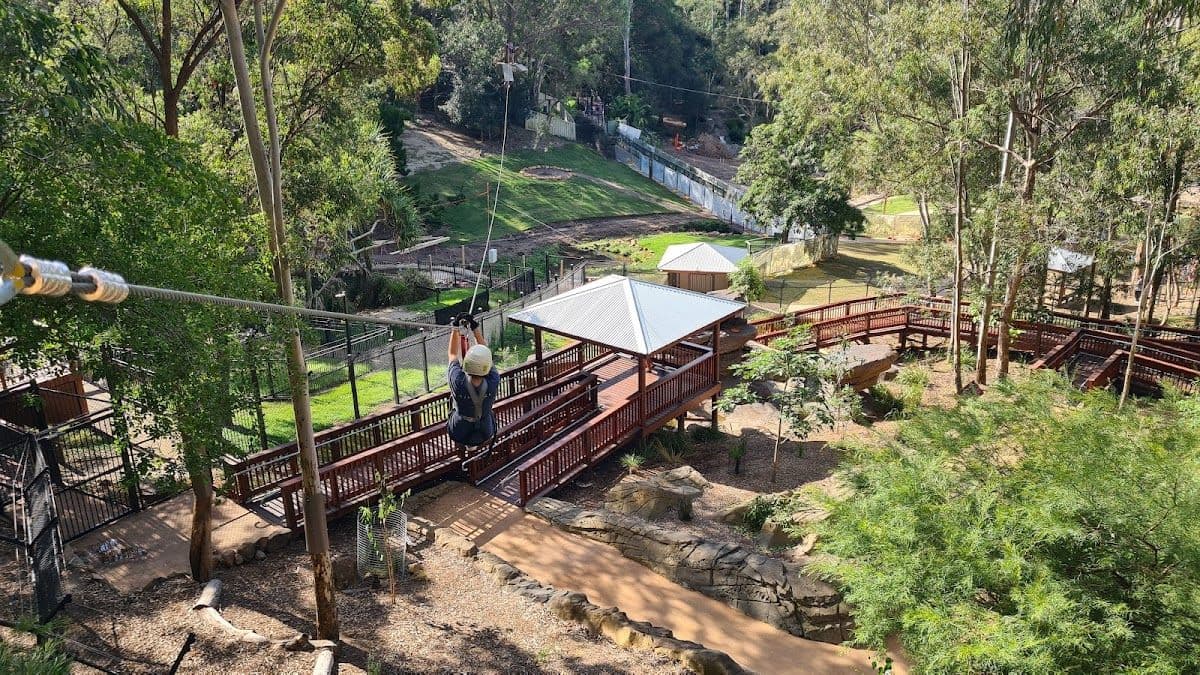 TreeTop Challenge & Currumbin Sanctuary Ticket Combo