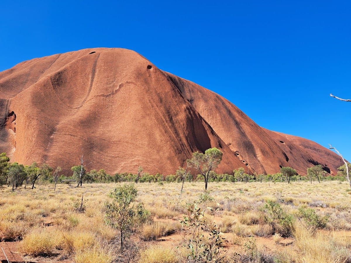 Uluru Segway Tour with Return Transfers