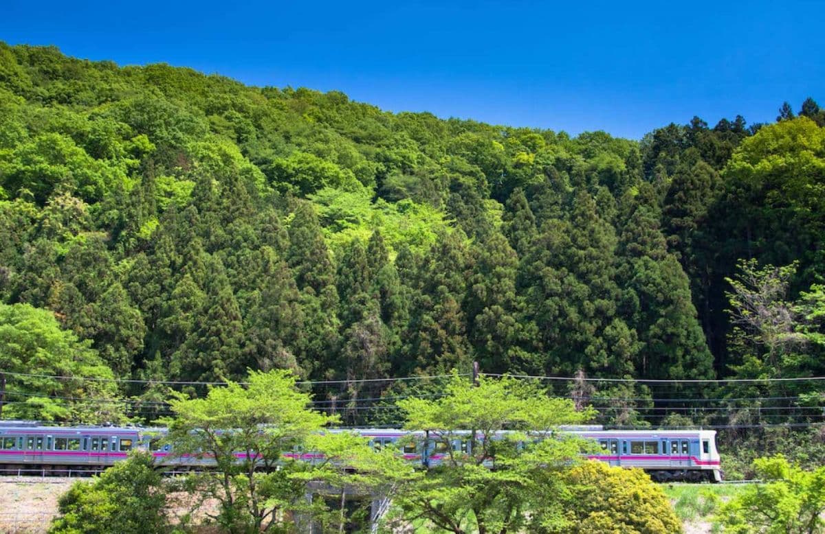 Bilet jednodniowy Keio z biletami na kolejkę linową i wyciąg krzesełkowy na Mt. Takao
