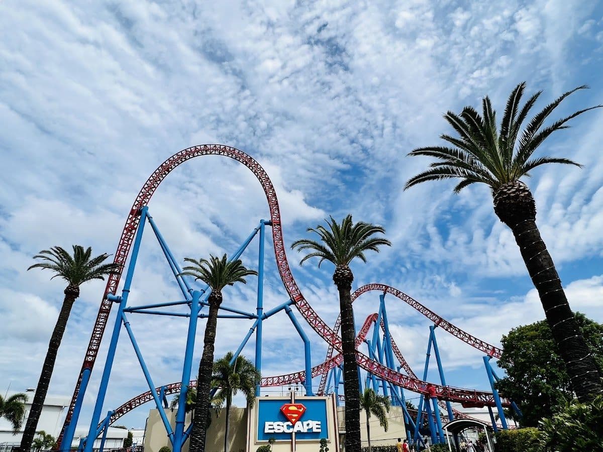Warner Bros Movie World Inbound 25/26