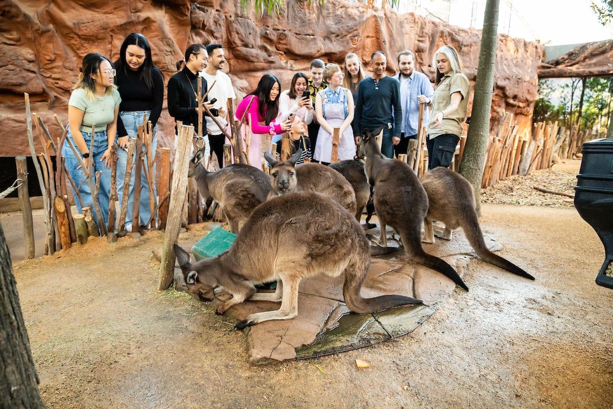 WILD LIFE Sydney