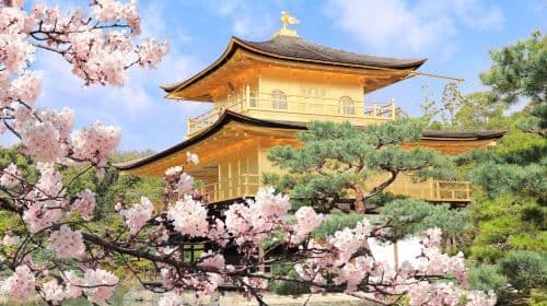 Kinkaku-ji + Arashiyama + Fushimi Inari Taisha + Nara Park one-day tour Day Tours