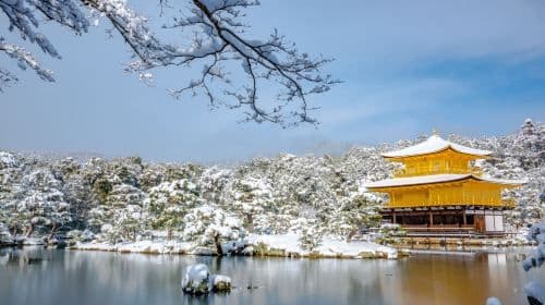 Kinkaku-ji + Arashiyama + Fushimi Inari Taisha + Nara Park one-day tour Day Tours