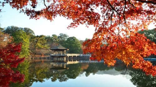 Kinkaku-ji + Arashiyama + Fushimi Inari Taisha + Nara Park Tagestour
