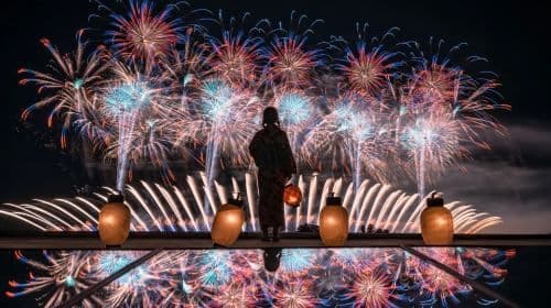 Excursión de un día al Festival de Fuegos Artificiales de Kinugawa y al Mar de Flores de Ibaraki: Una cita con el mar de flores y los fuegos artificiales