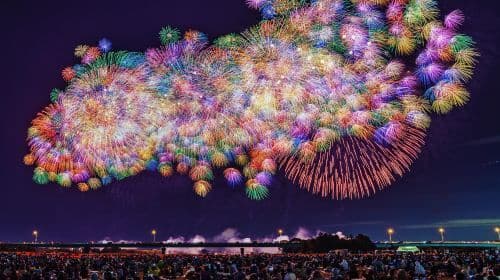 Excursión de un día al Festival de Fuegos Artificiales de Kinugawa y al Mar de Flores de Ibaraki: Una cita con el mar de flores y los fuegos artificiales