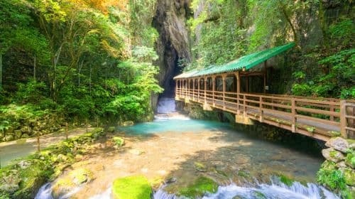 Jednodniowa wycieczka: Jaskinia Akiyoshido + Chram Motonosumi Inari + Most Tsunoshima [Jedna z trzech słynnych jaskiń Japonii]