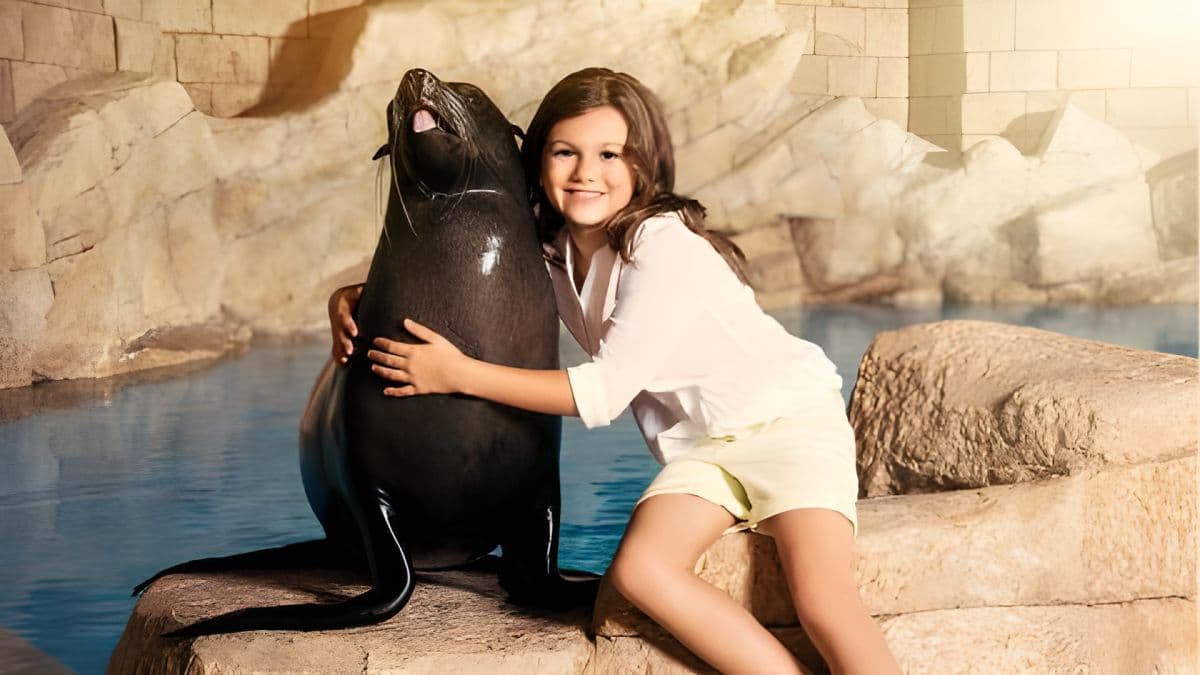 Atlantis Sea Lion Meet & Greet