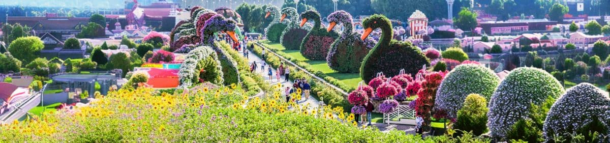 Butterfly Garden Dubai