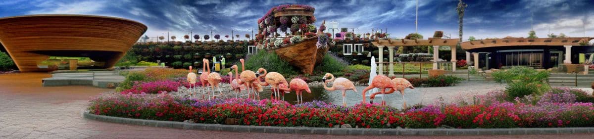 Butterfly Garden Dubai