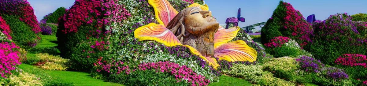 Butterfly Garden Dubai