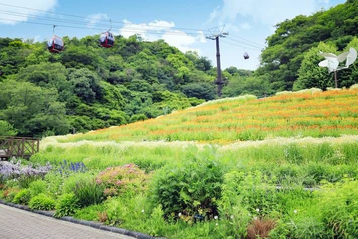 Kobe Nunobiki Herb Garden