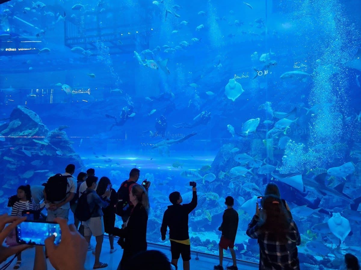 Dubai Aquarium And Underwater Zoo