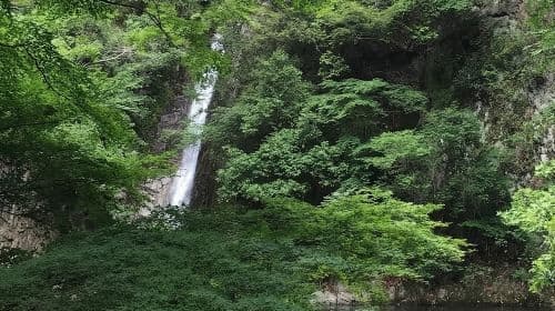 Kobe private tour from Osaka (Shore excursion available from Osaka or Kobe port) Day Tours