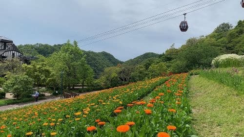 Kobe private tour from Osaka (Shore excursion available from Osaka or Kobe port) Day Tours