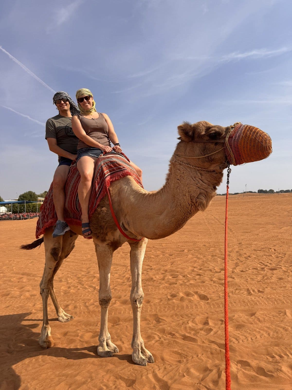 Dubai desert camp experience with dune bashing - red dune bashing/transfers/sunset/camel ride/Arabian buffet diner/henna painting/show - standard/VIP/summer air-conditioned area options available