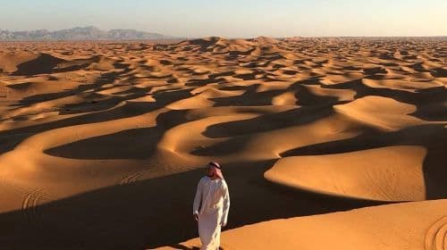Dubai Desert Safari Day Tour [Popularny obóz na pustyni + zachód słońca + przejażdżka na wielbłądzie + występy + kolacja] Wycieczki jednodniowe