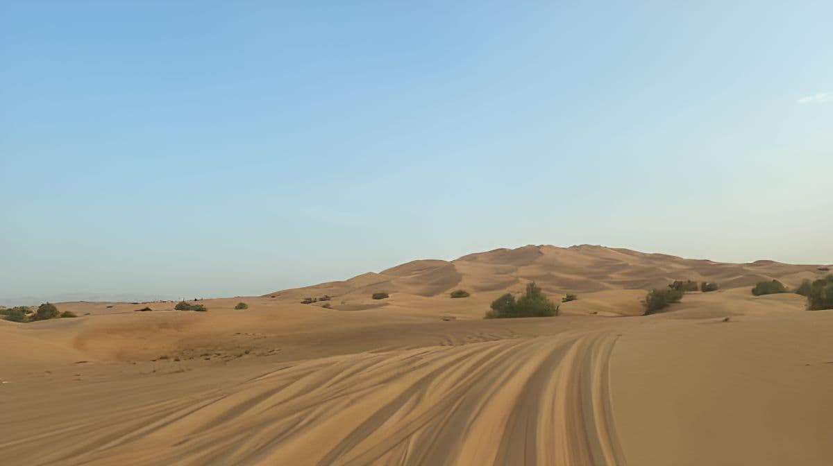 Dubai Wüstensafari, Kamelreiten, Live-BBQ & Shows (Privater 4x4-Wagen) Tagestouren