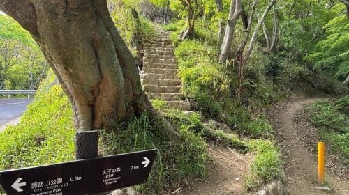 Kobe: Night Hike Adventure with local dinner Day Tours