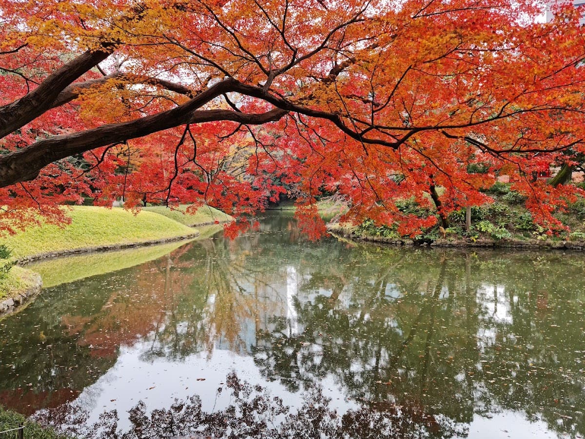 Koishikawa Korakuen Garden