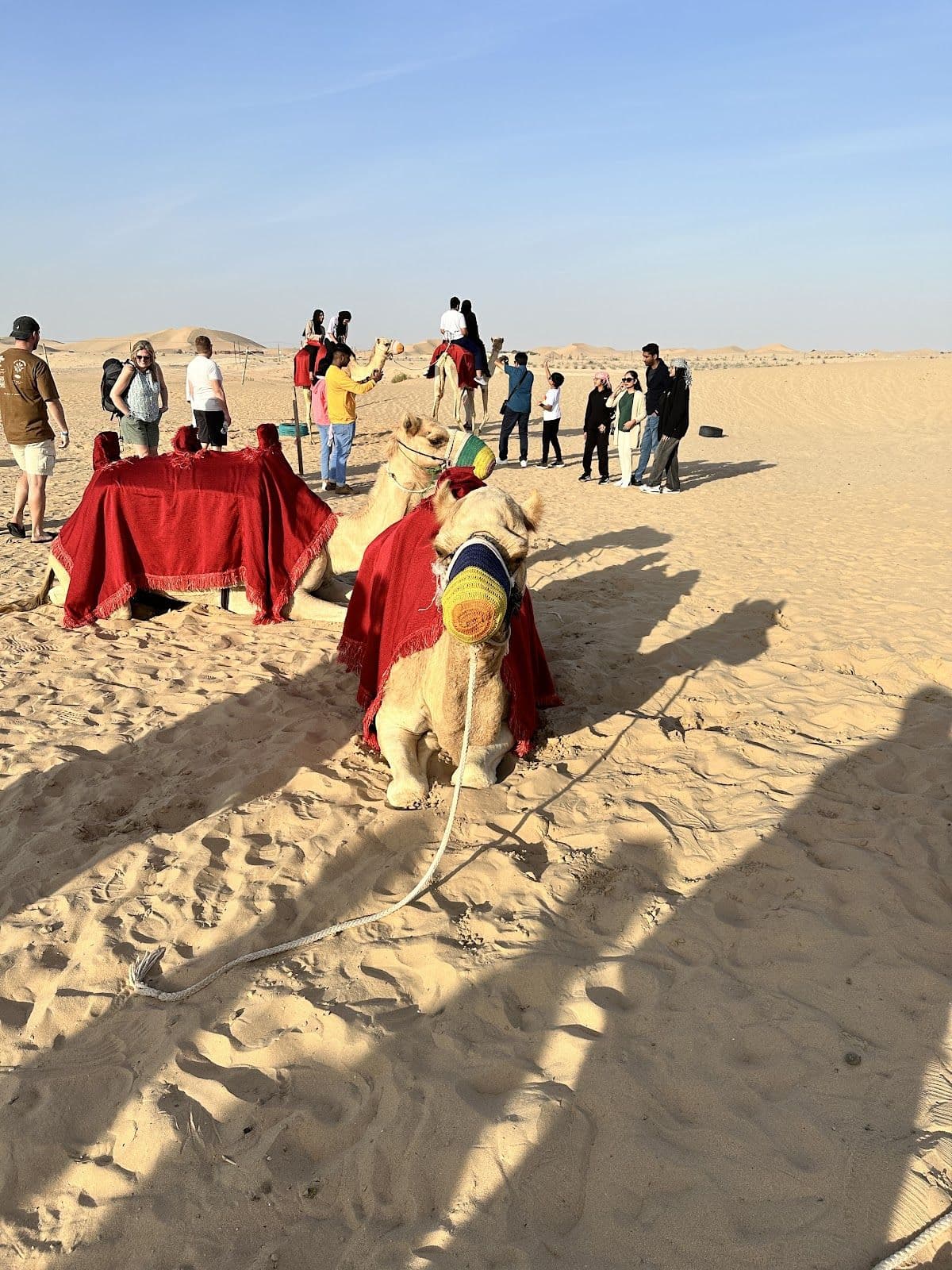 Evening Desert Safari in Abu Dhabi With Dinner on Sharing Basis