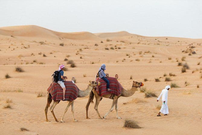Evening Desert Safari in Abu Dhabi With Dinner on Sharing Basis