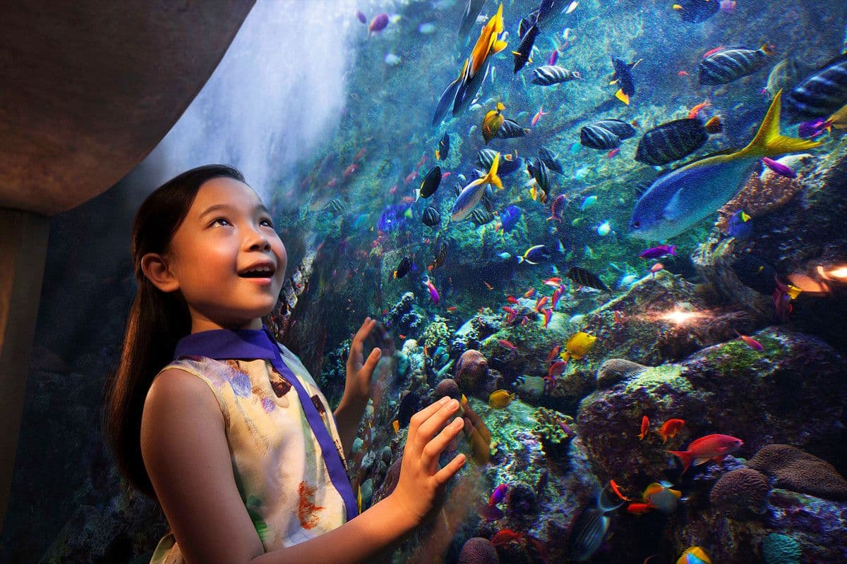 Go City: Dubai All-Inclusive Pass