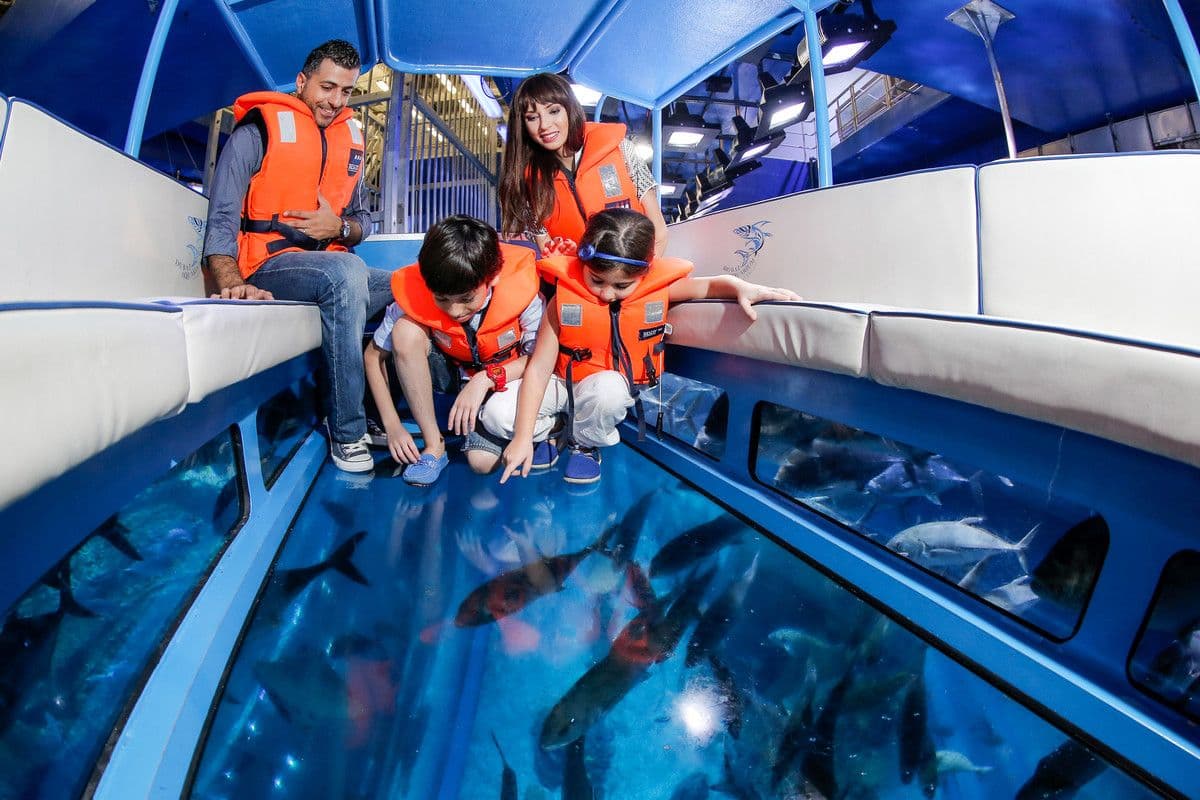 Go City: Dubai Explorer Pass