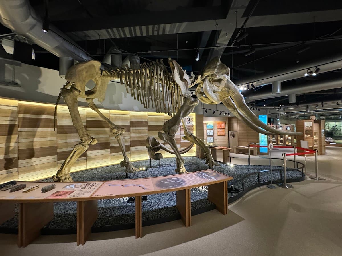 Kumamoto City Museum