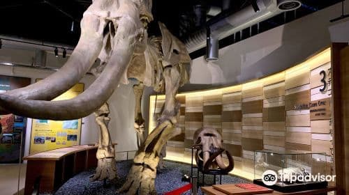 Kumamoto City Museum
