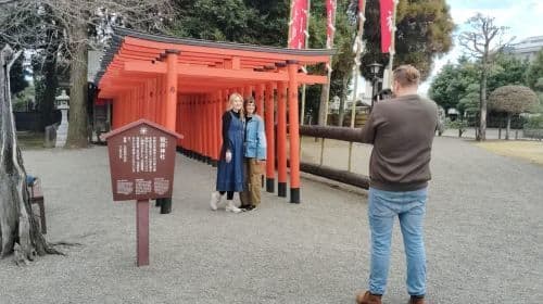 Kumamoto: Castles, Shrines, Gardens & a Taste of Tradition Day Tours