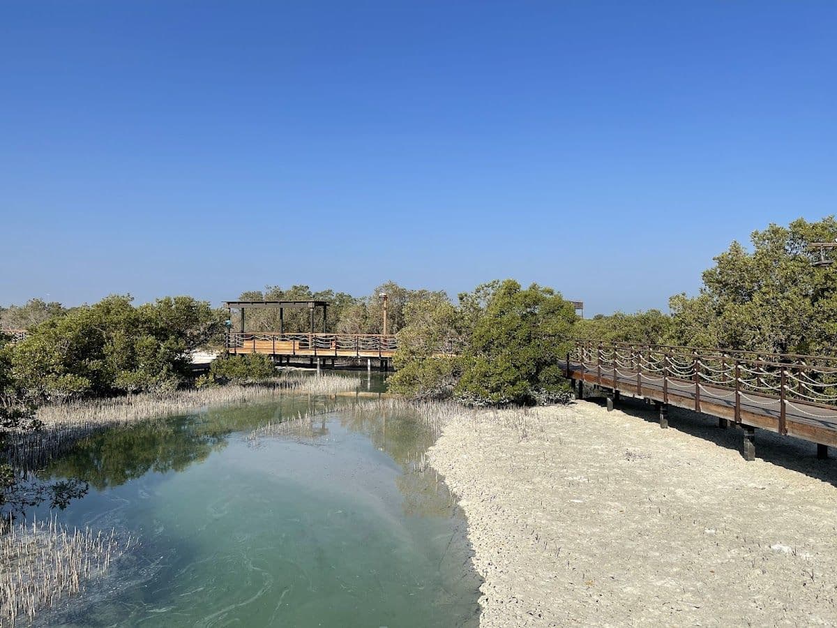 Jubail Mangrove Park