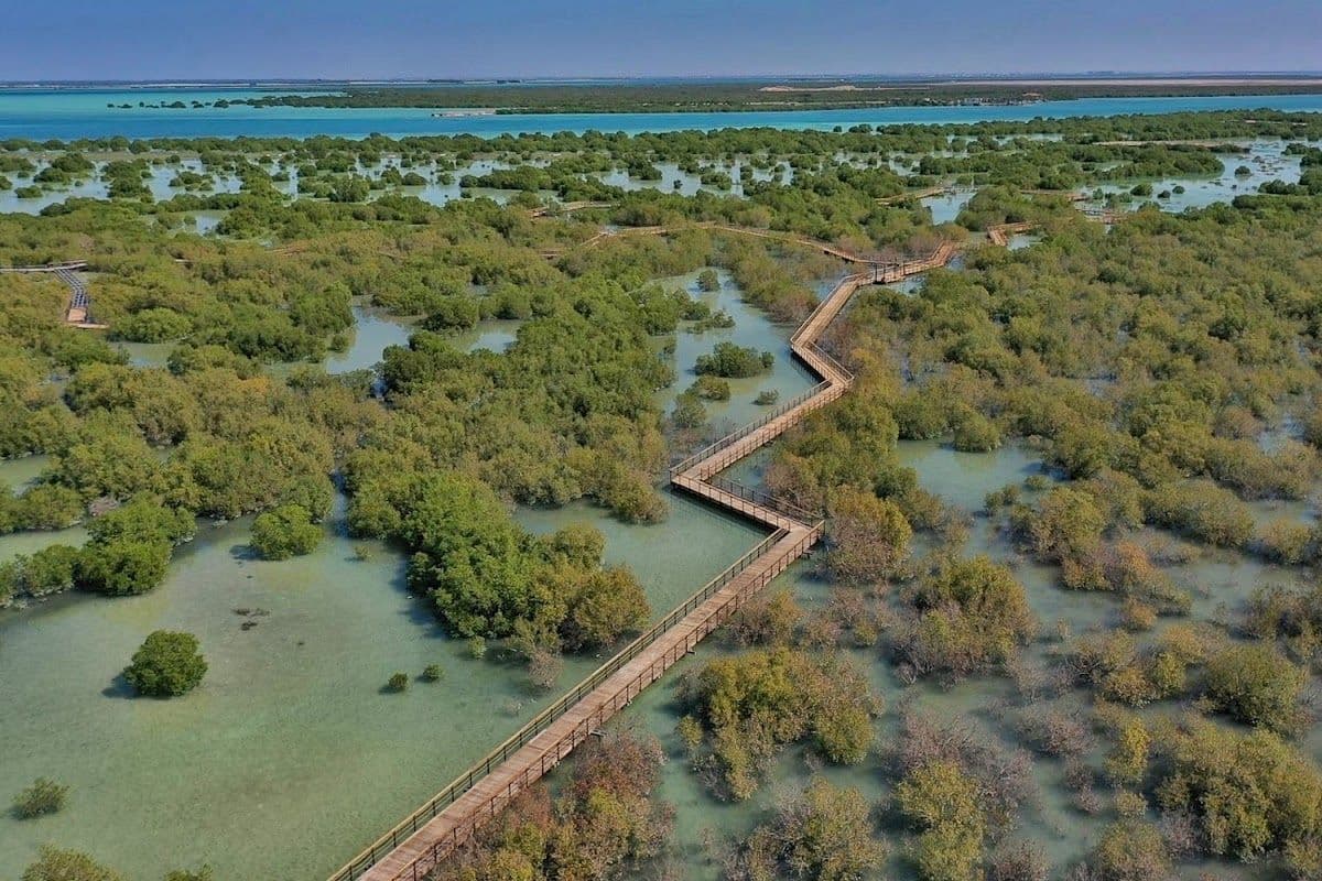 Jubail Mangrove Park
