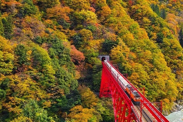 Kurobe Gorge Trolley Train