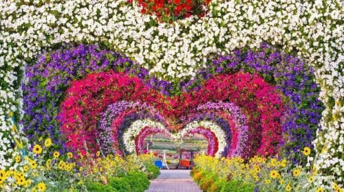 Miracle & Butterfly Garden 투어 및 전용 차량 이동 서비스