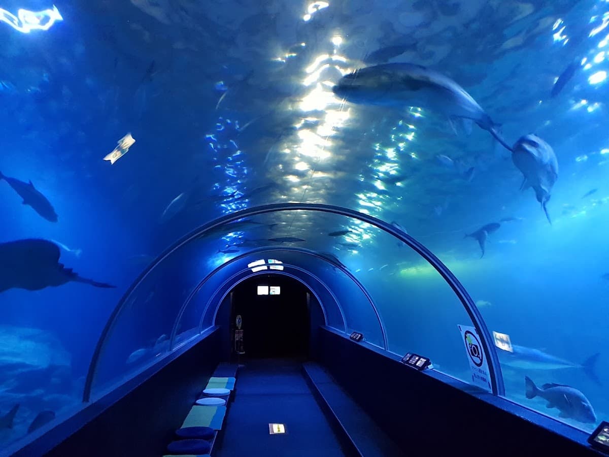 Kushimoto Marine Park