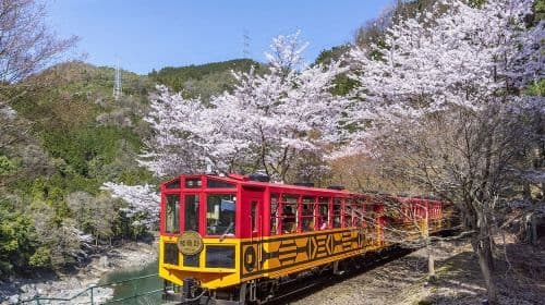 Kyoto "Kyoto Horse Carriage" Experience, Sagano Train, and Hozugawa Rafting one-day tour in Osaka, Japan Day Tours