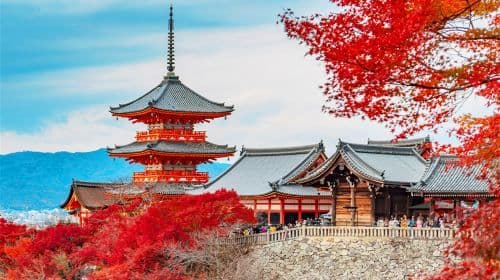 Kyoto & Nara Classic Day Tour with Friendly Deer